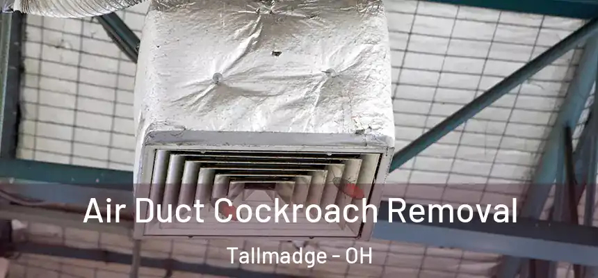  Air Duct Cockroach Removal Tallmadge - OH