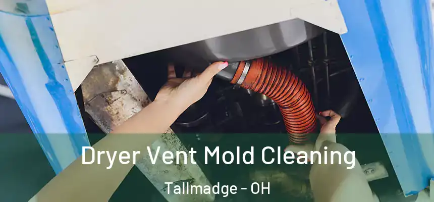  Dryer Vent Mold Cleaning Tallmadge - OH