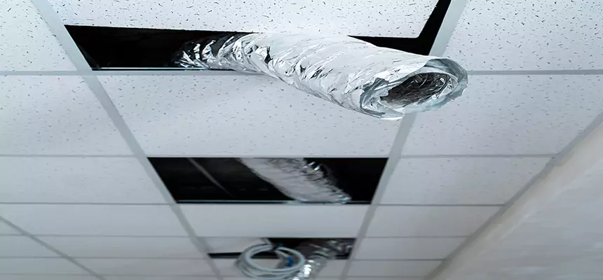 Our Air Duct Pet Hair Removal Services in Tallmadge, OH