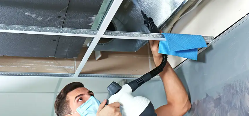 Our Air Duct Rodent Removal Services in Tallmadge, OH