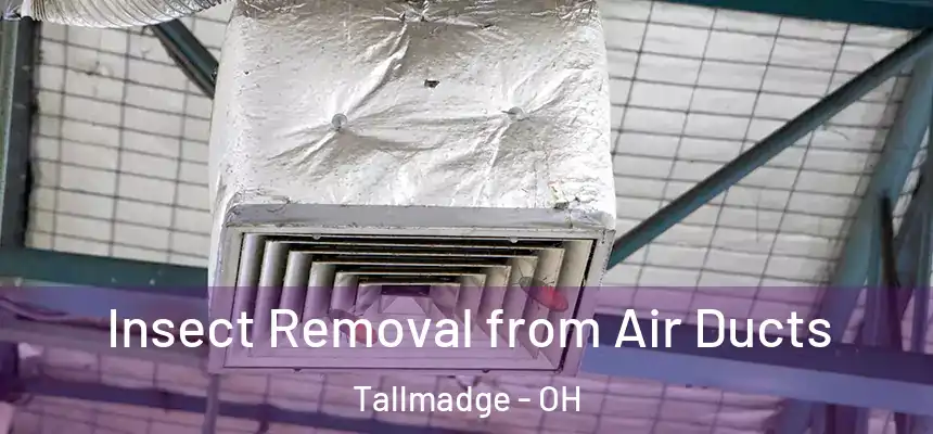  Insect Removal from Air Ducts Tallmadge - OH