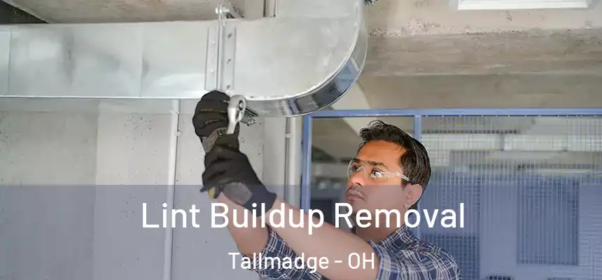  Lint Buildup Removal Tallmadge - OH